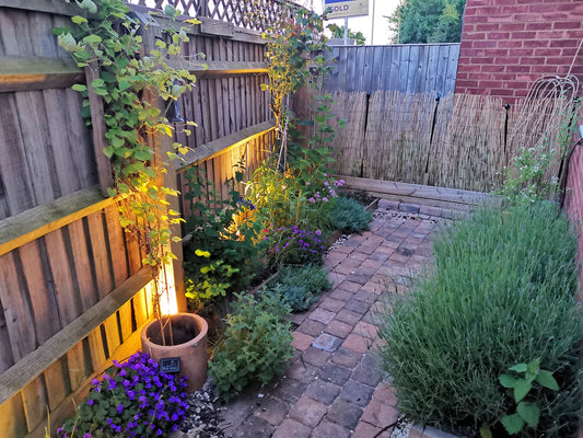 How to make your small garden appear bigger with lighting